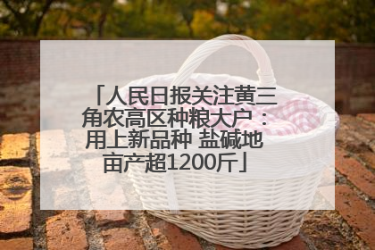 人民日报关注黄三角农高区种粮大户：用上新品种 盐碱地亩产超1200斤