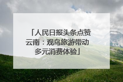 人民日报头条点赞云南：观鸟旅游带动多元消费体验