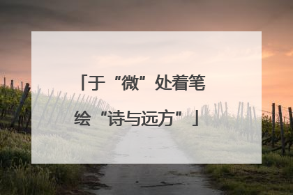 于“微”处着笔 绘“诗与远方”