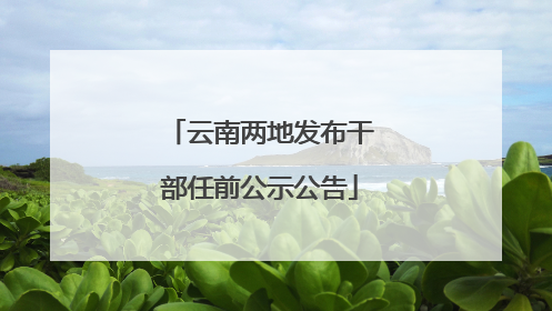 云南两地发布干部任前公示公告