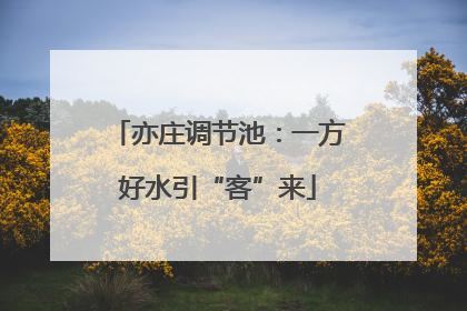 亦庄调节池：一方好水引“客”来