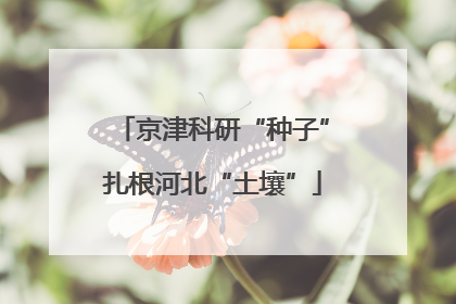 京津科研“种子”扎根河北“土壤”