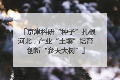 京津科研“种子”扎根河北，产业“土壤”培育创新“参天大树”