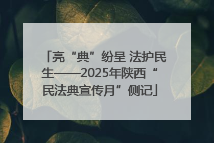 亮“典”纷呈 法护民生——2025年陕西“民法典宣传月”侧记