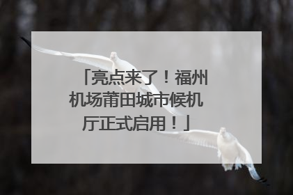亮点来了！福州机场莆田城市候机厅正式启用！