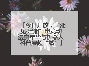 今日开放，“湘见·建湘”电竞动漫嘉年华与机器人科普展超“燃”