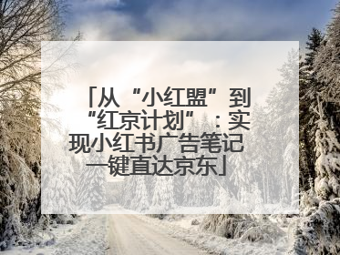 从“小红盟”到“红京计划”：实现小红书广告笔记一键直达京东