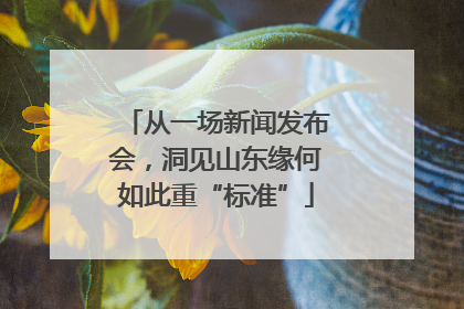 从一场新闻发布会，洞见山东缘何如此重“标准”