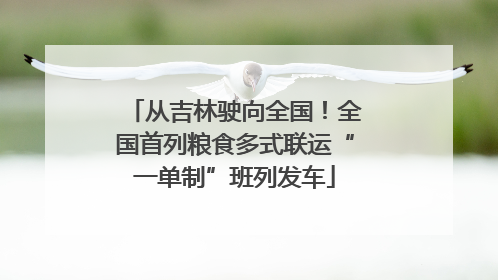 从吉林驶向全国！全国首列粮食多式联运“一单制”班列发车