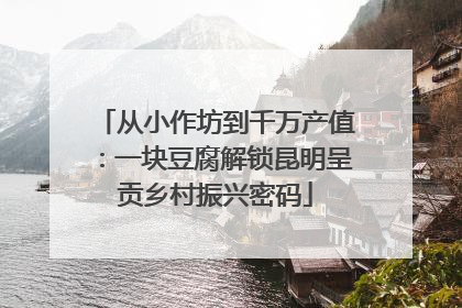 从小作坊到千万产值：一块豆腐解锁昆明呈贡乡村振兴密码