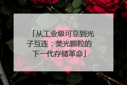 从工业级可靠到光子互连：美光颗粒的下一代存储革命