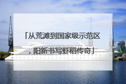 从荒滩到国家级示范区，阳新书写虾稻传奇