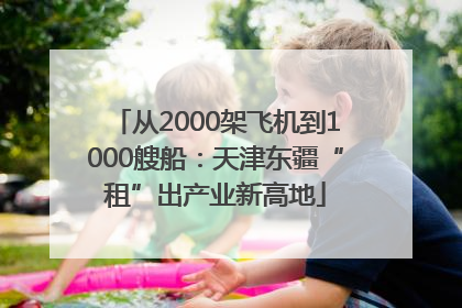 从2000架飞机到1000艘船：天津东疆“租”出产业新高地