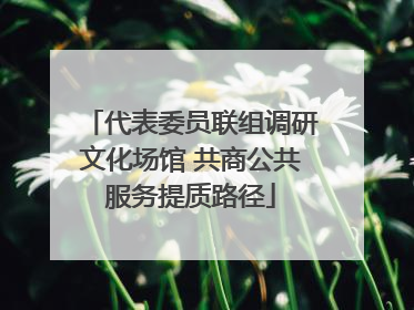 代表委员联组调研文化场馆 共商公共服务提质路径