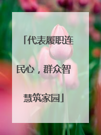 代表履职连民心，群众智慧筑家园