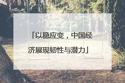 以稳应变，中国经济展现韧性与潜力