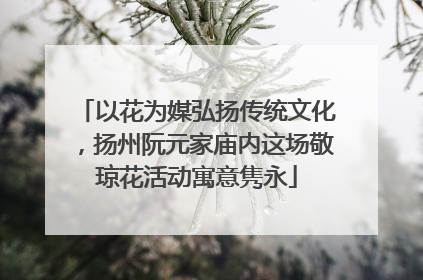以花为媒弘扬传统文化，扬州阮元家庙内这场敬琼花活动寓意隽永