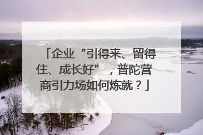 企业“引得来、留得住、成长好”，普陀营商引力场如何炼就？