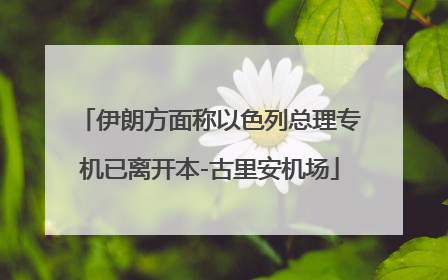 伊朗方面称以色列总理专机已离开本-古里安机场