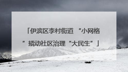 伊滨区李村街道 “小网格”撬动社区治理“大民生”