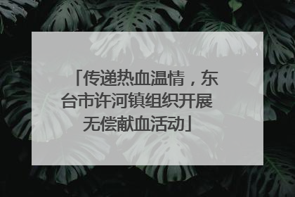 传递热血温情，东台市许河镇组织开展无偿献血活动