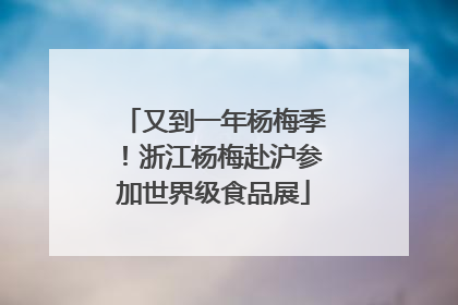 又到一年杨梅季！浙江杨梅赴沪参加世界级食品展