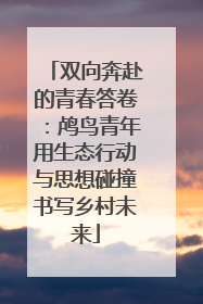 双向奔赴的青春答卷：鸬鸟青年用生态行动与思想碰撞书写乡村未来