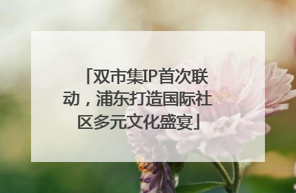 双市集IP首次联动，浦东打造国际社区多元文化盛宴