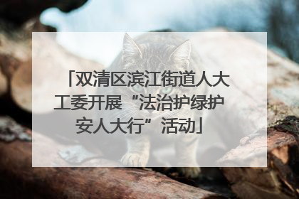 双清区滨江街道人大工委开展“法治护绿护安人大行”活动