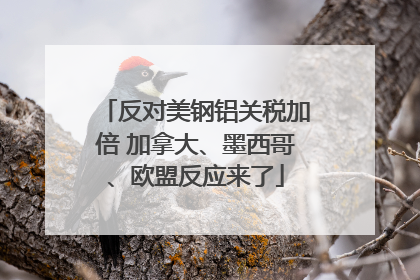 反对美钢铝关税加倍 加拿大、墨西哥、欧盟反应来了