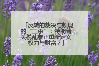 反转的裁决与频现的“三杀”：特朗普关税乱象正重新定义权力与财富？