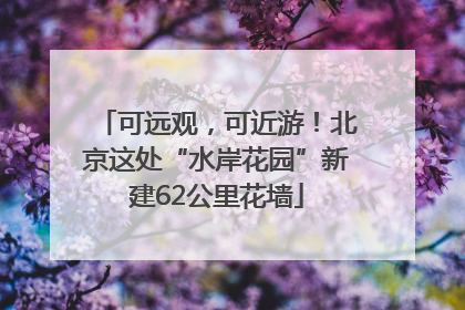 可远观，可近游！北京这处“水岸花园”新建62公里花墙