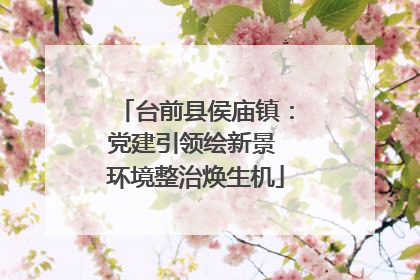 台前县侯庙镇：党建引领绘新景 环境整治焕生机