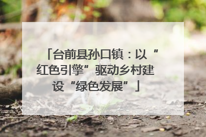台前县孙口镇：以“红色引擎”驱动乡村建设“绿色发展”