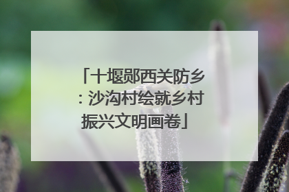 十堰郧西关防乡：沙沟村绘就乡村振兴文明画卷