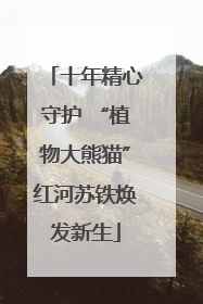 十年精心守护 “植物大熊猫”红河苏铁焕发新生