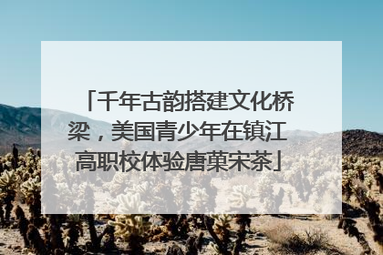 千年古韵搭建文化桥梁，美国青少年在镇江高职校体验唐菓宋茶