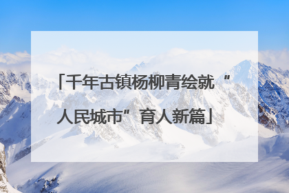 千年古镇杨柳青绘就“人民城市”育人新篇