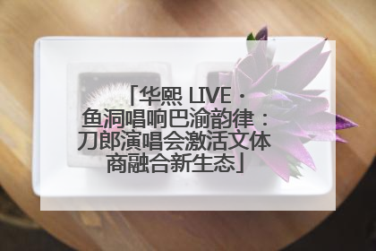 华熙 LIVE・鱼洞唱响巴渝韵律：刀郎演唱会激活文体商融合新生态