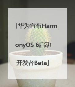 华为宣布HarmonyOS 6启动开发者Beta