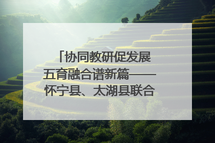 协同教研促发展 五育融合谱新篇——怀宁县、太湖县联合教研活动在月山镇中心学校成功举办