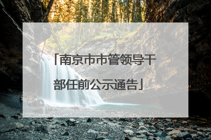 南京市市管领导干部任前公示通告