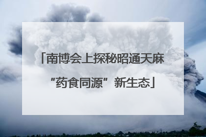 南博会上探秘昭通天麻“药食同源”新生态
