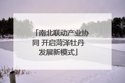 南北联动产业协同 开启菏泽牡丹发展新模式