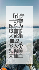 南宁一宠物医院为贫血警犬征集血源，多人带狗狗前来抽血配型