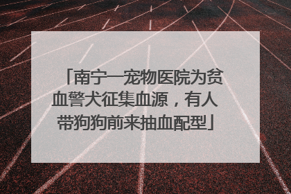 南宁一宠物医院为贫血警犬征集血源，有人带狗狗前来抽血配型