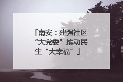 南安：建强社区“大党委”撬动民生“大幸福”