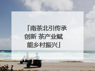 南茶北引传承创新 茶产业赋能乡村振兴