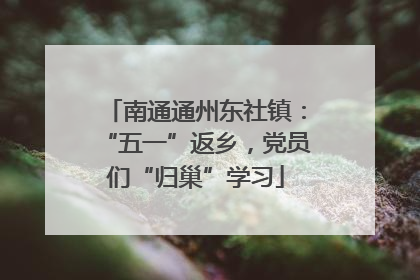 南通通州东社镇：“五一”返乡，党员们“归巢”学习