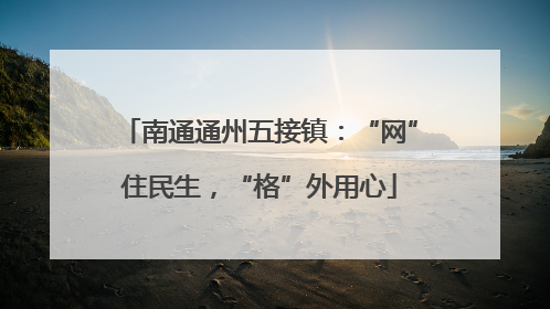 南通通州五接镇：“网”住民生，“格”外用心